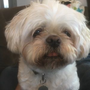 Meet your Posher, Kent